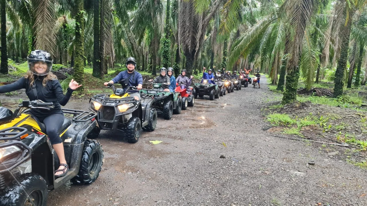 Large group of ATV riders lined up under palm trees