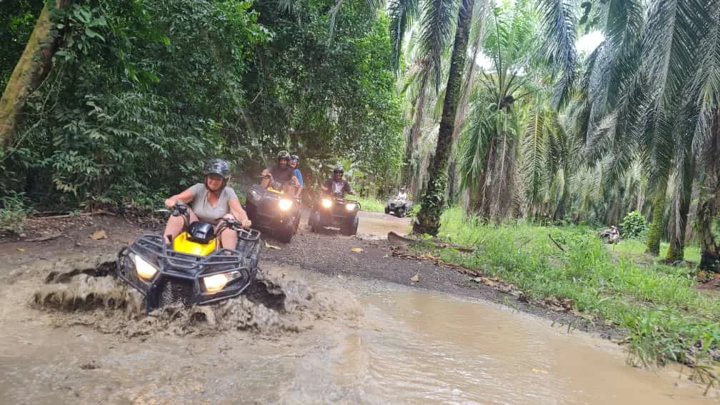 ATV group riding through a muddy palm plantation trail